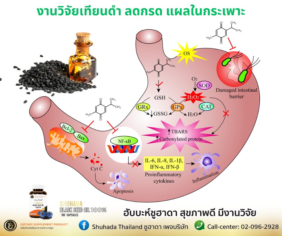 น้ำมันเทียนดำ (Black Seed Oil – BSO) กับผลในการปกป้องกระเพาะอาหาร ซึ่งน้ำมันเทียนดำทำงานอย่างไรในการปกป้องกระเพาะอาหาร และ ไม่ใช่เพียงแค่ช่วย “ลดกรด” แต่คือการ “ซ่อมแซมอย่างมีระบบ”